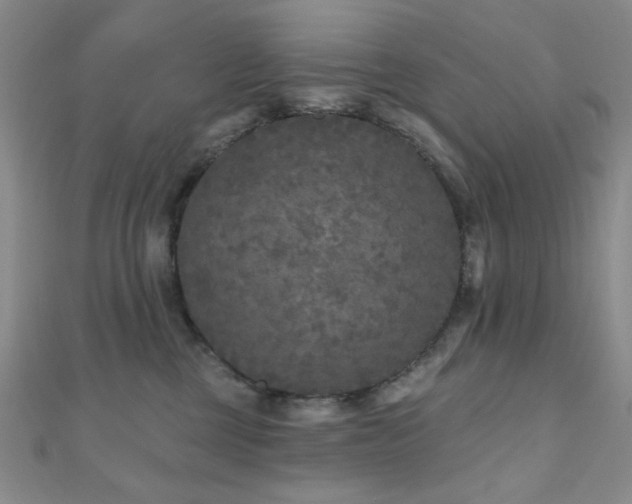 X0000111000377200906191556