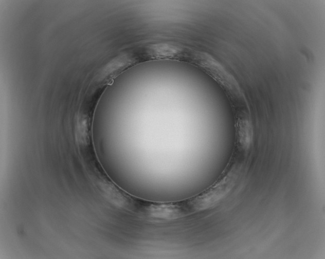 X0000111000378200906191556