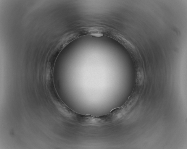 X0000111000379200906191556