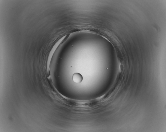 X0000111000380200906191556