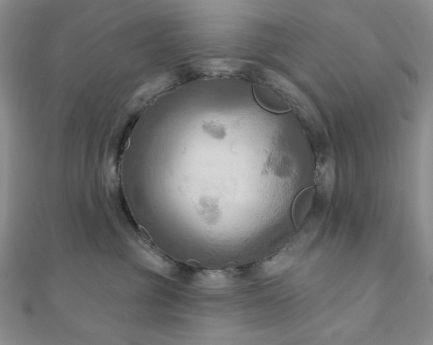 X0000111000381200906191556