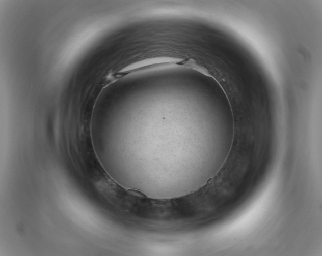 X0000111000382200906191556