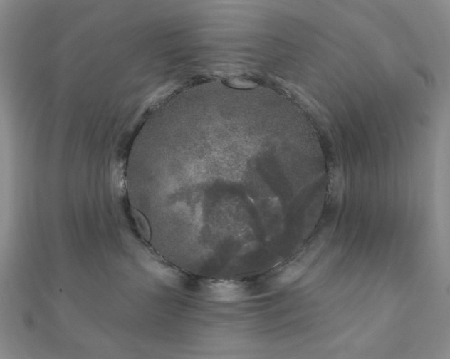 X0000111000383200906191556