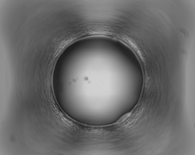 X0000111000385200906191555