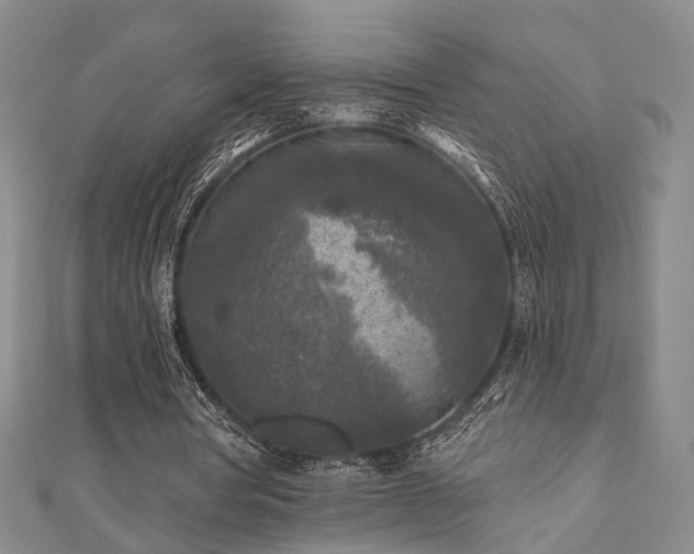 X0000111000386200906191555