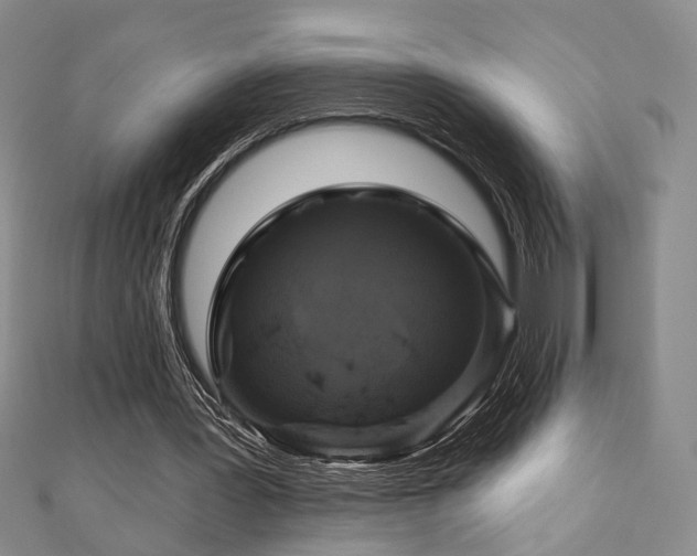 X0000111000387200906191555