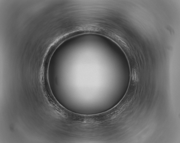 X0000111000388200906191555