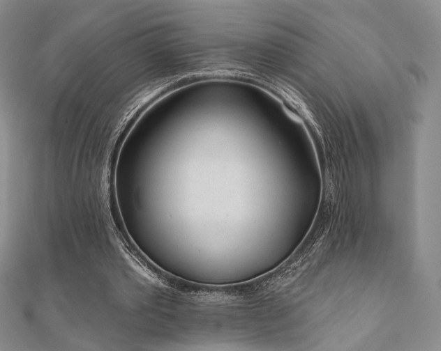 X0000111000389200906191555