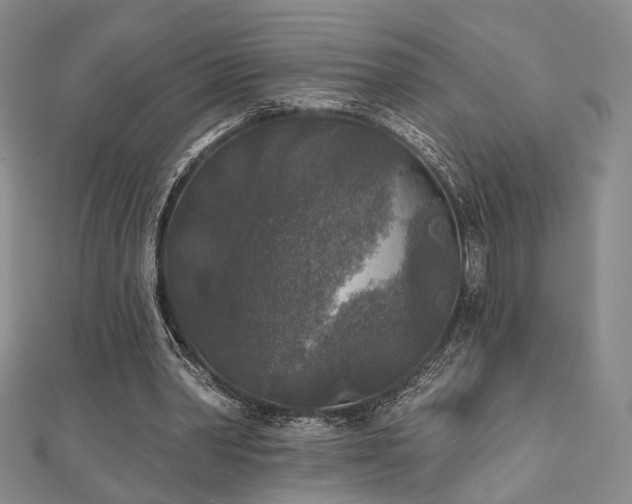 X0000111000390200906191555