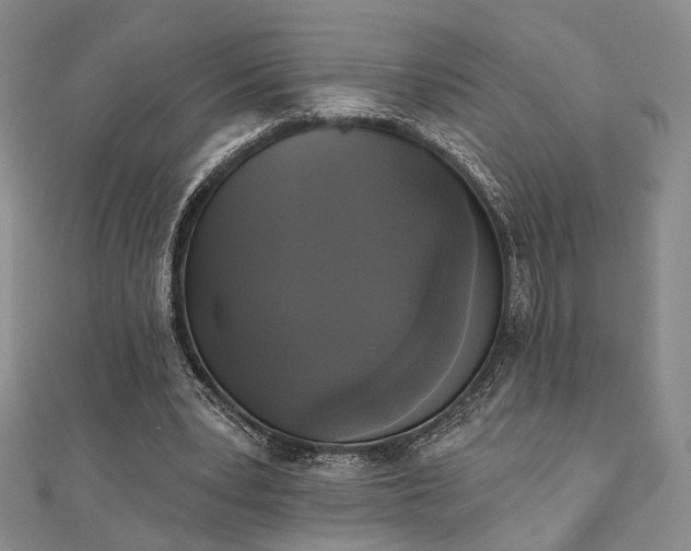 X0000111000391200906191555