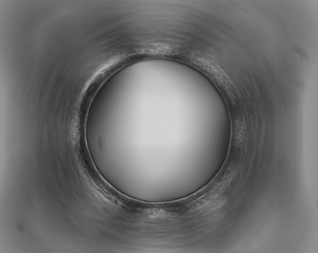 X0000111000392200906191555