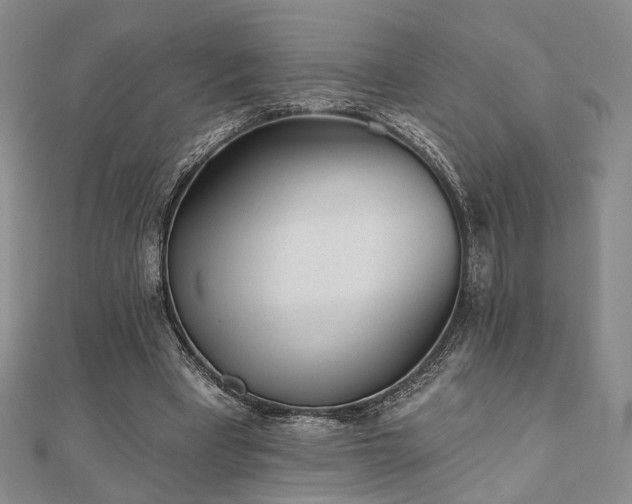 X0000111000393200906191555