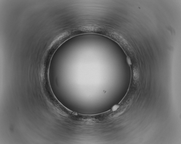 X0000111000396200906191555