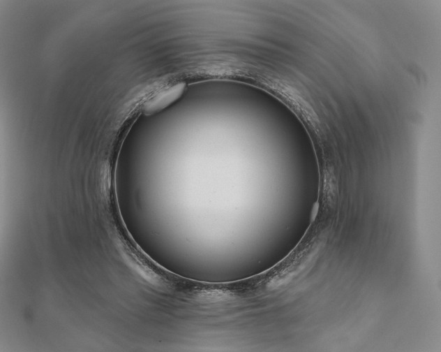 X0000111000397200906191555