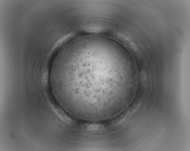 X0000111000400200906191555