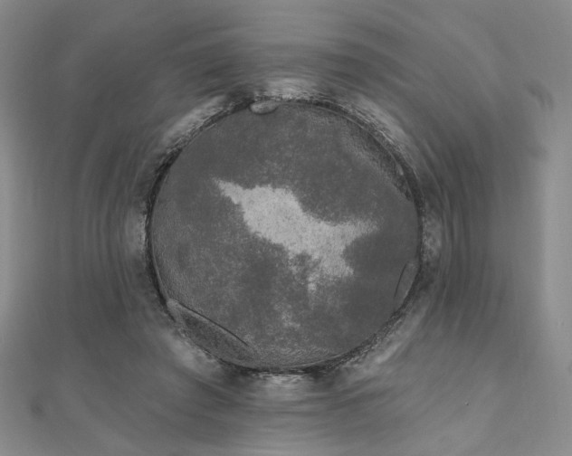 X0000111000401200906191555