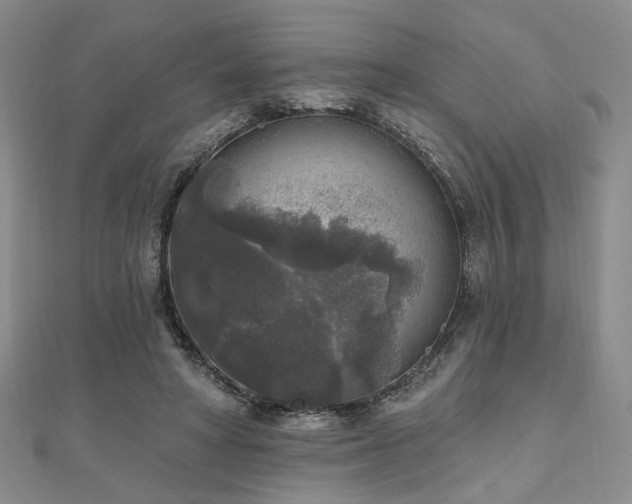 X0000111000402200906191555