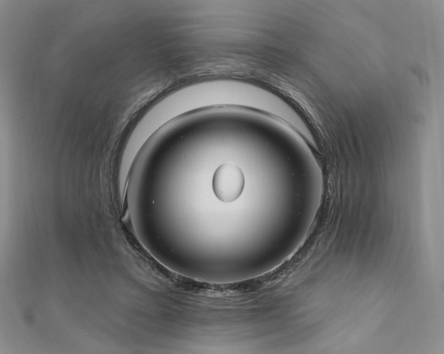 X0000111000403200906191555