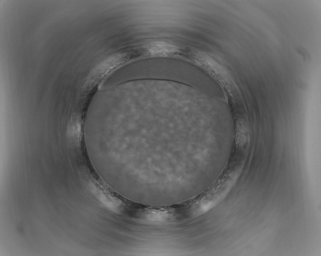 X0000111000405200906191555