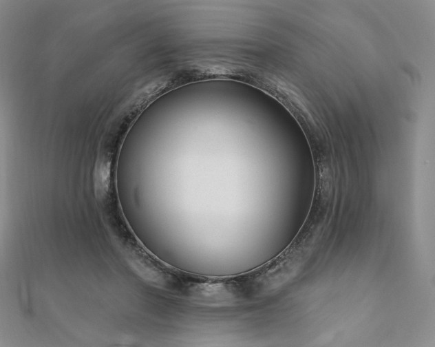 X0000111000406200906191555