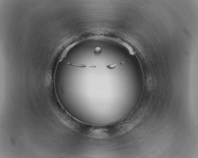 X0000111000407200906191555