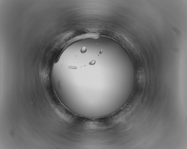 X0000111000408200906191555