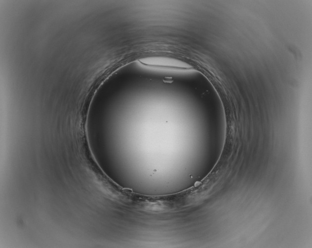 X0000111000411200906191555