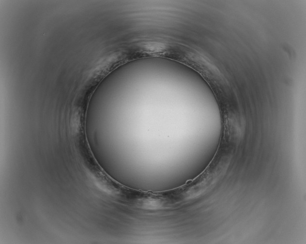 X0000111000412200906191555