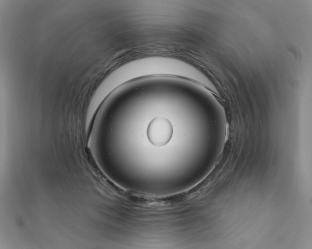 X0000111000413200906191555