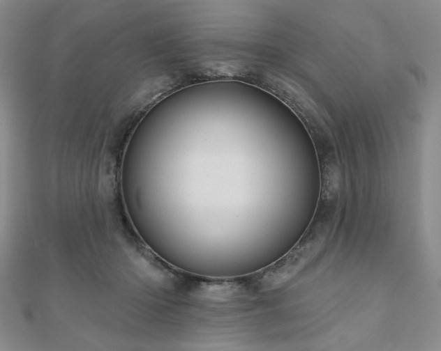 X0000111000414200906191555