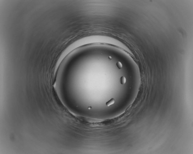 X0000111000415200906191555