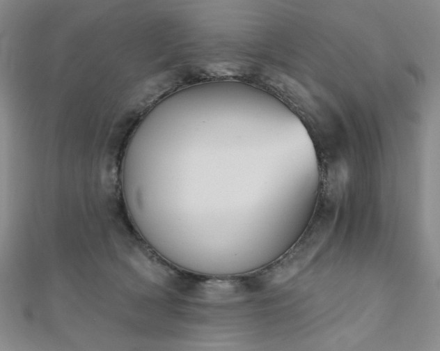 X0000111000418200906191555