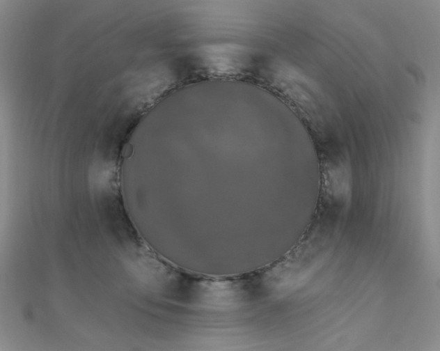 X0000111000419200906191555