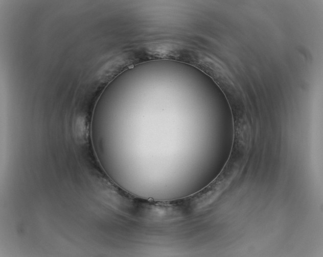 X0000111000420200906191555