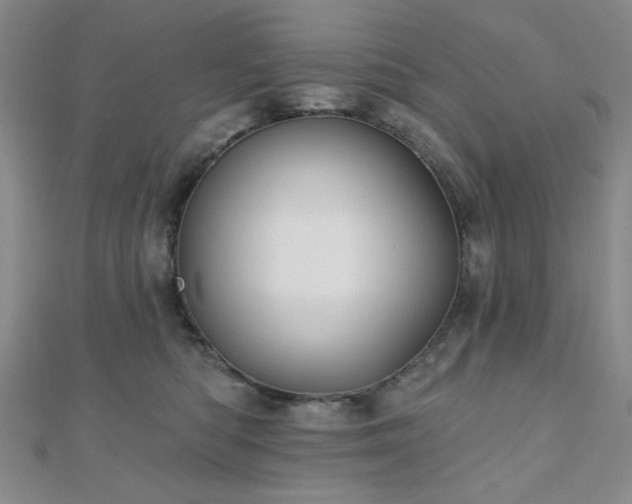 X0000111000422200906191555