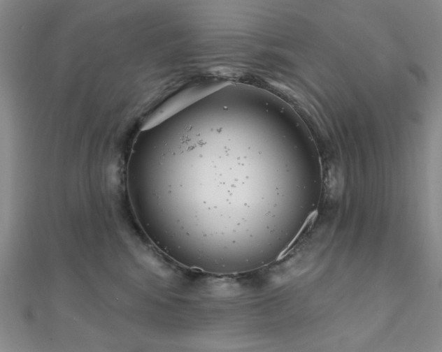 X0000111000424200906191554