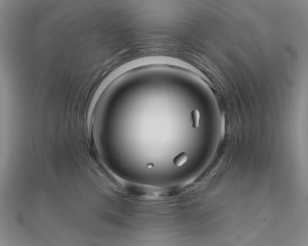 X0000111000425200906191554