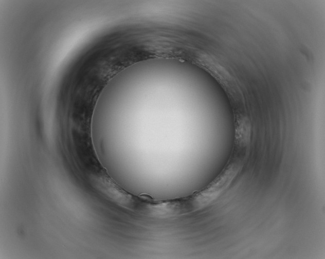 X0000111000430200906191554