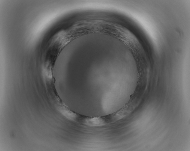 X0000111000431200906191554