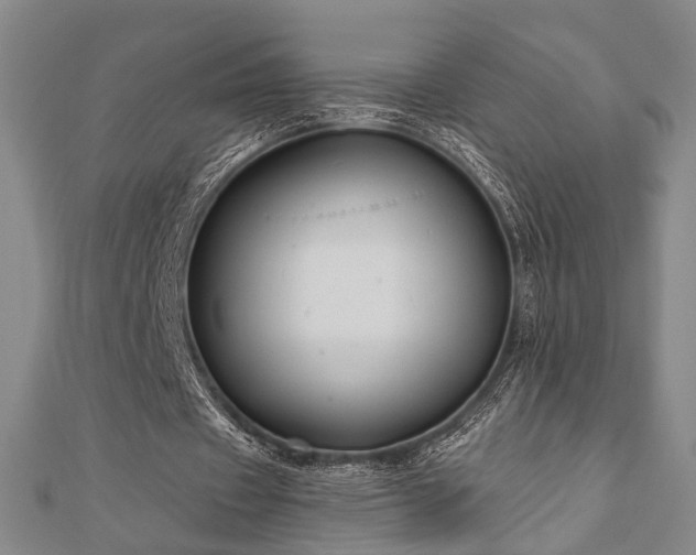 X0000111000433200906191554