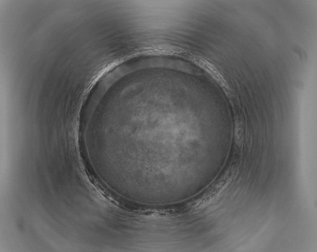 X0000111000434200906191554