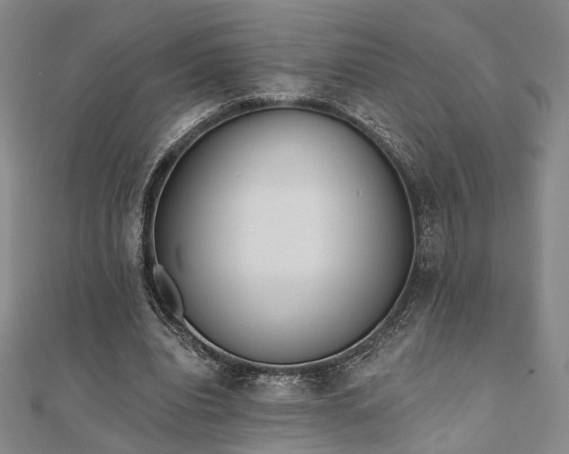 X0000111000440200906191554