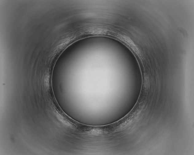 X0000111000441200906191554