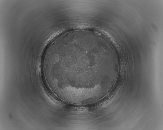 X0000111000443200906191554