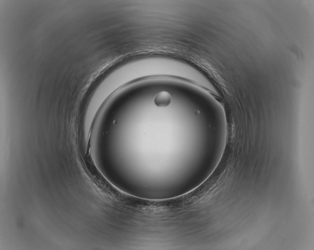 X0000111000444200906191554