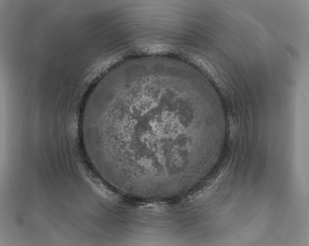 X0000111000447200906191554