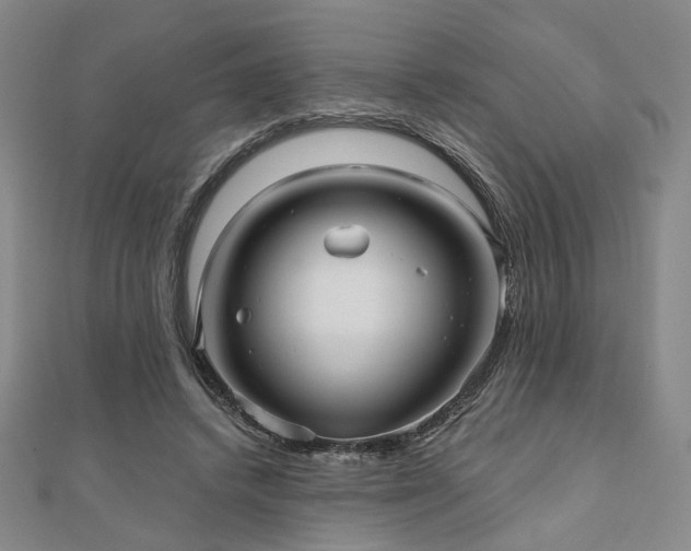 X0000111000448200906191554