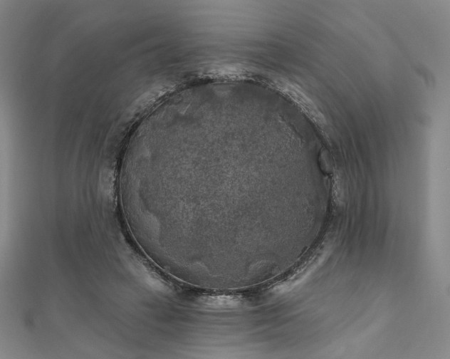 X0000111000449200906191554