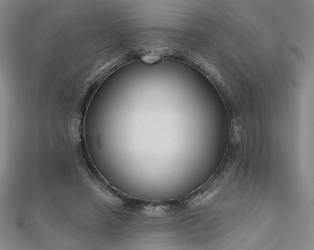 X0000111000450200906191554