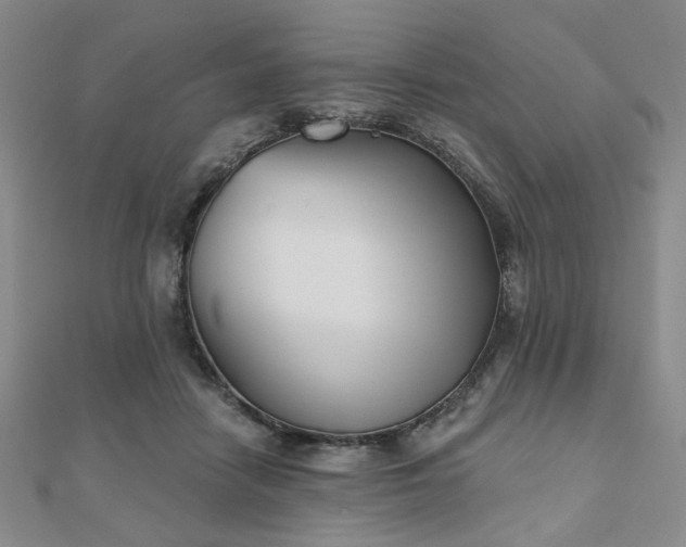 X0000111000458200906191554